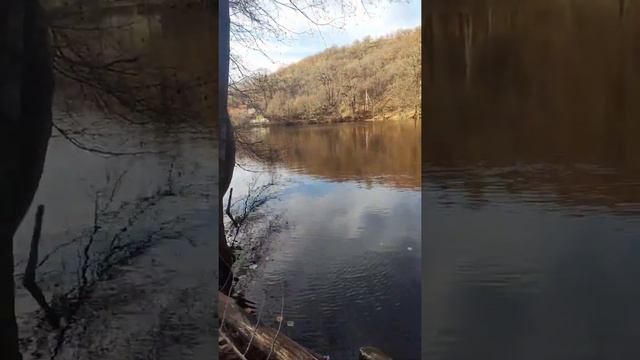 в парке Саратова смотреть онлайн