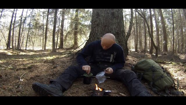 КРАПИВА / СЪЕДОБНЫЕ РАСТЕНИЯ