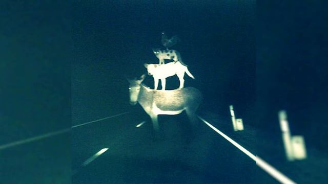 СПБ - Песенка сомалийского пирата смотреть онлайн