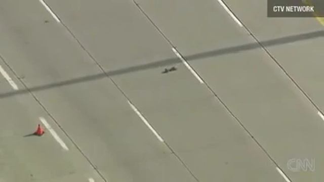 Дорожная камера зафиксировала, как утиное семейство переходит оживленную трассу. смотреть онлайн