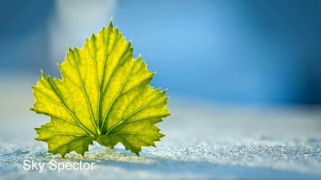 Смысл жизни. Притчи | NikOsho