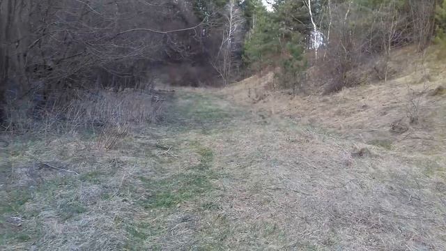 Як я пасу кози коло ліса ... смотреть онлайн
