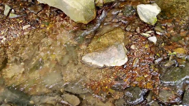 Звуки природы — Апрельский шум ручья — Звук воды смотреть онлайн