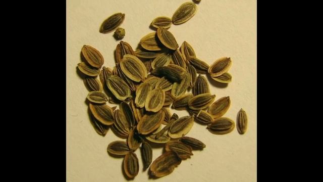 УКРОПНАЯ ВОДА или что лечит укроп - рецепты смотреть онлайн