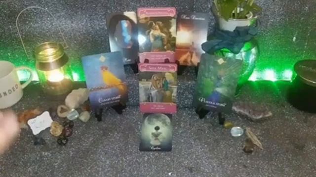 Leo - Love & The Limelight - Timeless смотреть онлайн