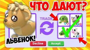 ЧТО ДАЮТ ЗА НОВОГО САФАРИ ЛЬВЁНКА ЗА РОБУКСЫ?НОВОЕ ОБНОВЛЕНИЕ! Адопт Ми Adopt Me Roblox