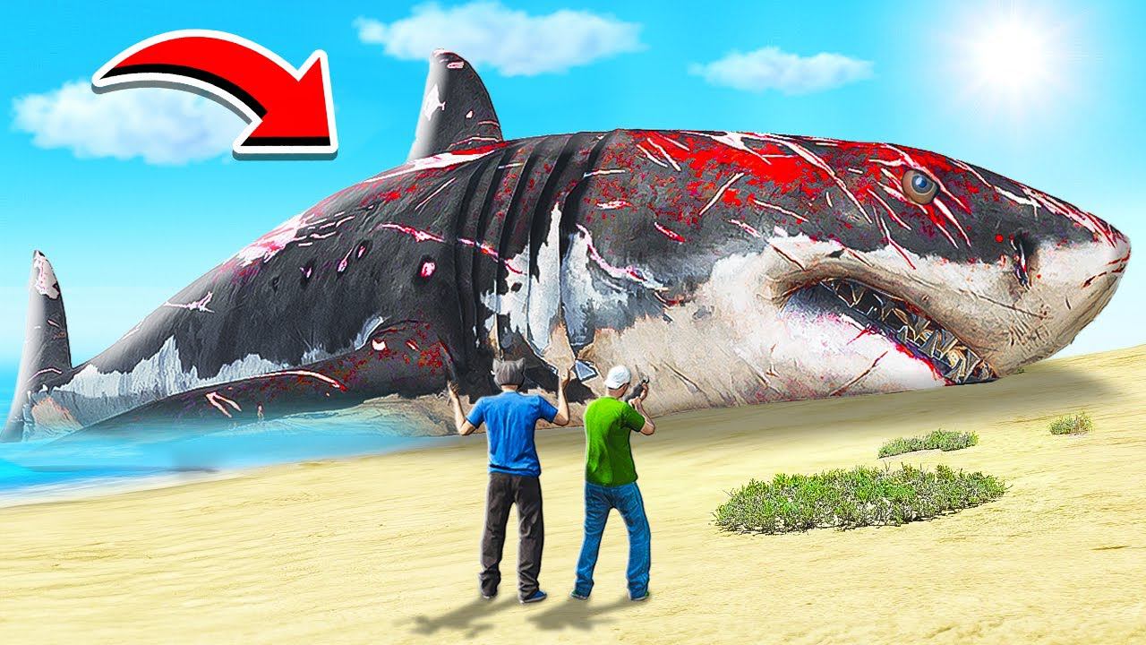 УДАЛИЛИ ВСЮ ВОДУ И НАШЛИ ОГРОМНОГО МЕГАЛОДОНА! САМАЯ БОЛЬШАЯ И КОШМАРНАЯ АКУЛА ГТА 5 МОДЫ МУРКА смотреть онлайн
