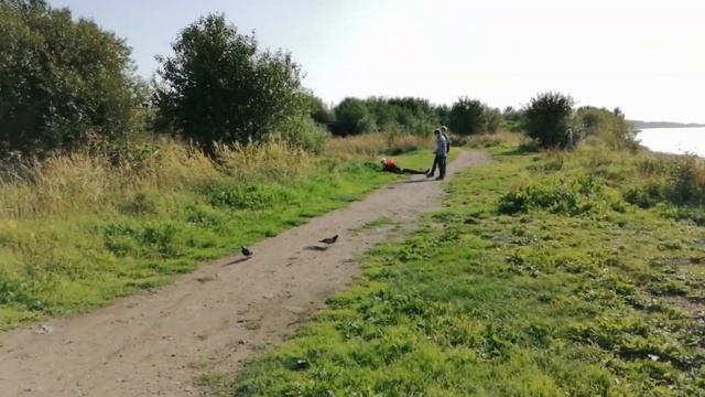 Санкт-Петербург. Канонерский остров. Финский залив. 30.08.2021. смотреть онлайн