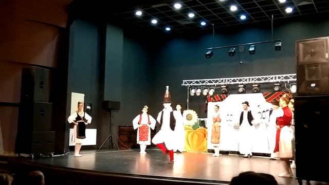 Kud "Dr Mladen Stojanovic" Mladenovo - Vesele igre iz Banata - 2015. Celarevo смотреть онлайн