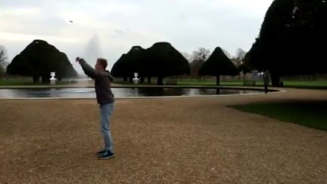 Back flip před Hampton court смотреть онлайн