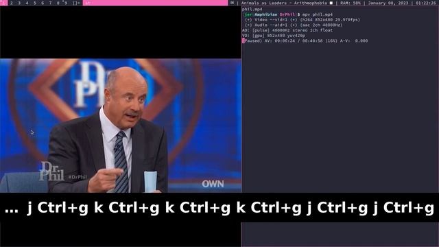 BRAIN-DEAD Video Editing HACK + MPV, FFmpeg & Lua смотреть онлайн