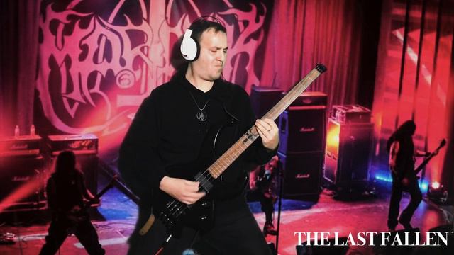 Marduk THE LAST FALLEN (#marduk #bass #cover) смотреть онлайн