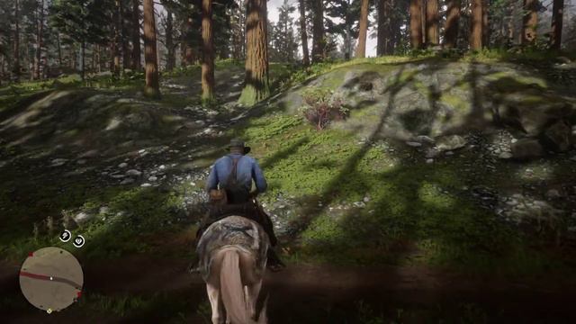 Arthur Morgan In New Austin! Hidden Encounters! Red Dead Redemption 2 Part 37 смотреть онлайн