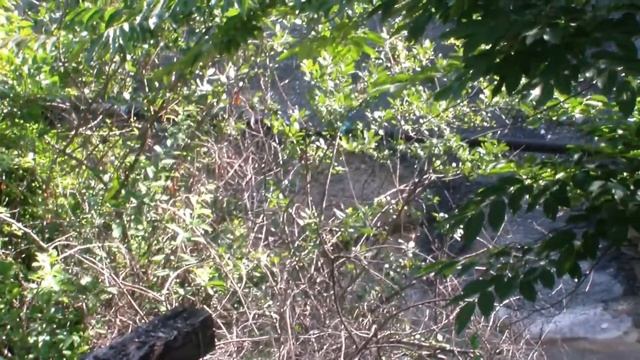 СТАРОЕ СЕЛО смотреть онлайн