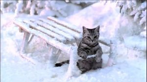 Новогодняя реклама Whiskas