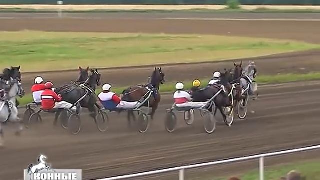 Фестиваль орловского рысака на Воронежском ипподроме 23-24.07.2016 смотреть онлайн