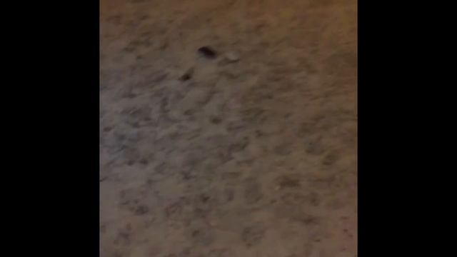 Разбил телефон / сломал телефон смотреть онлайн