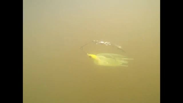 Strike King Mini Spinnerbait John Graves Kayak fishing смотреть онлайн