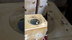 Видео обзор стиральной машинки СССР "Псков" смм2  1962 года,запуск центрифуги