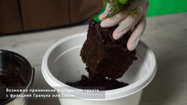 Гидрогель "Рецепты Дедушки Никиты" смотреть онлайн