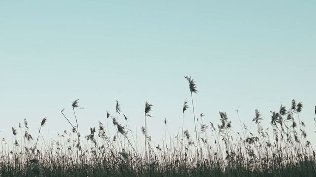 Relaxing deep sleeping music (музыка для расслабления) смотреть онлайн