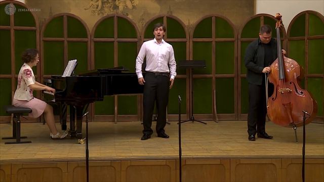 David Csuti plays Mozart Per Questa Bella Mano смотреть онлайн
