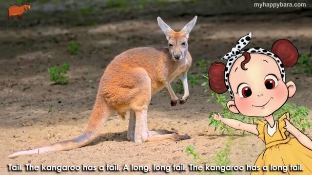 01.03. Kangaroo - My HappyBara English Beginner Course
