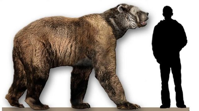 Жил на Земле 100 тысяч лет назад: в Антарктиде обнаружили останки гигантского медведя смотреть онлайн