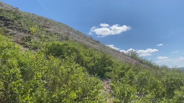 На горе-одиночке Шихан Торатау. смотреть онлайн
