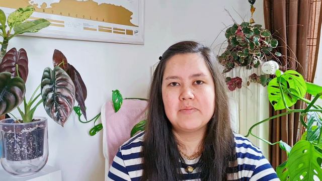 Meine Gartencenterreview 🌱 смотреть онлайн