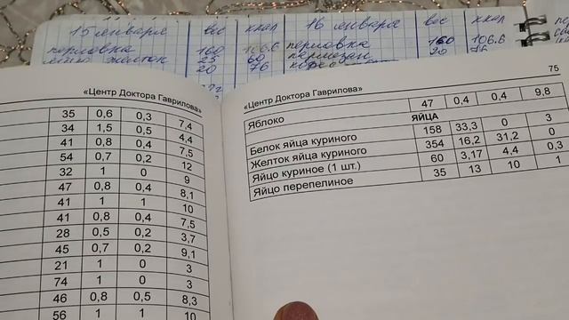 ?Мой блокнот-часть 2.  Елизавета позирует? Котлетки в бульоне по домашнему?