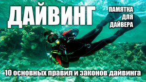 10 основных правил дайвинга