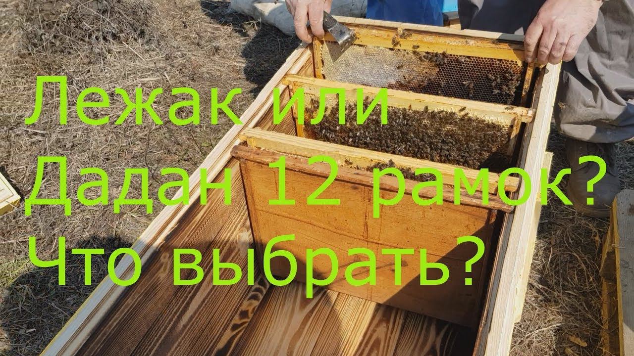 Лежак на 24 рамки или дадан 12 рамок, что выбрать? Где будет больше мёда? Часть 1. смотреть онлайн