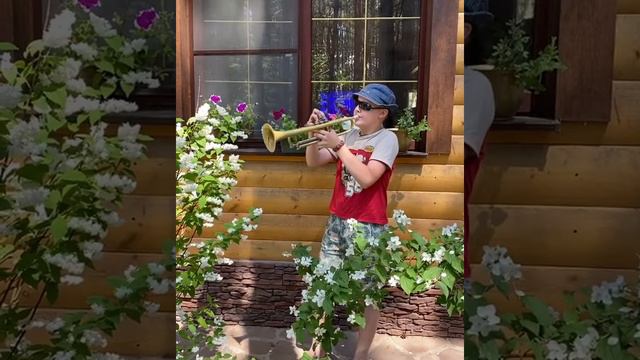 Песня "Поздний вечер в Соренто" смотреть онлайн