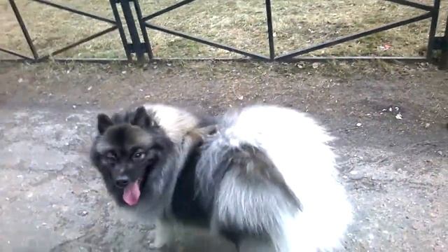 Разминка Ришель смотреть онлайн