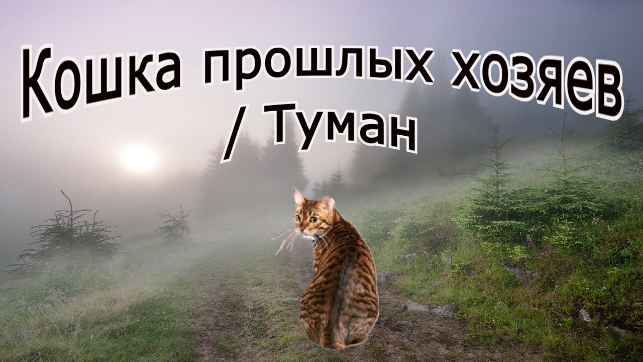 "Кошка прежних хозяев / Туман". Мистика. смотреть онлайн