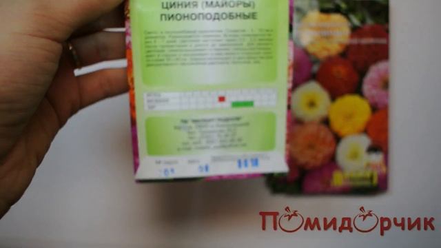 Семена Цинии (Майоры) Пионоподобные - Помидорчик смотреть онлайн