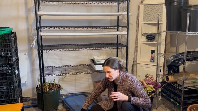 How I’m Storing my Dalias, Ranunculus and more! 🌺 Winter Tuber storage / Nicole’s Garden смотреть онлайн