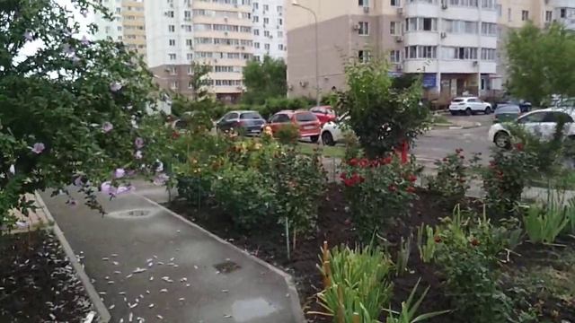 Юр.адрес ИФНС 5, ул. Кружевная, д.3 смотреть онлайн