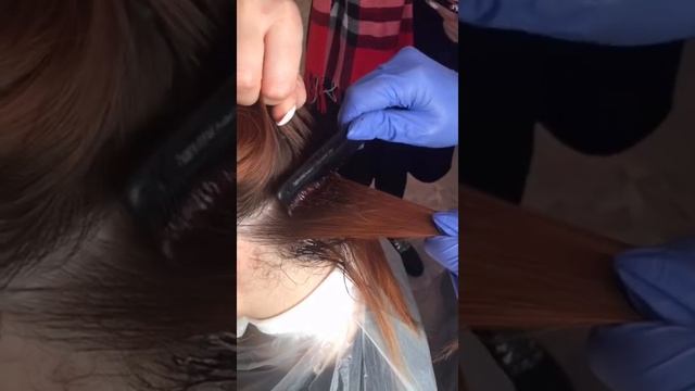 Soch Buyash Sochni Ildiziga Tegmasdan