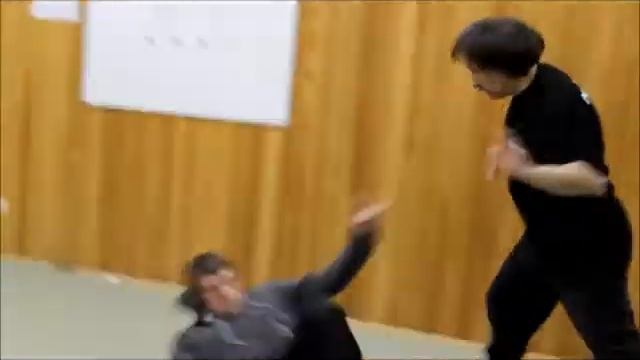 Семинар WINGJITSU 2 смотреть онлайн