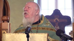 Проповедь на неделю о блудном сыне (8 февраля 2015 года). Димитрий Смирнов