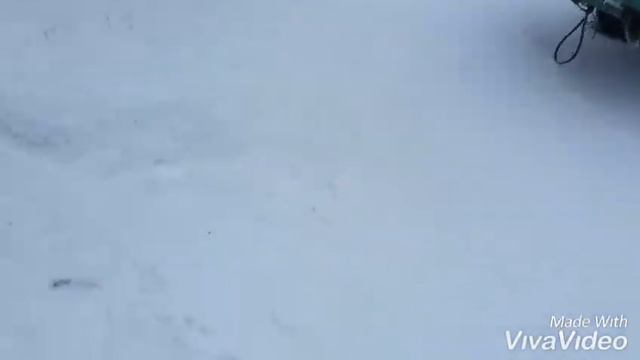 Отмечали Новый Год с родителями/ Много Снега смотреть онлайн