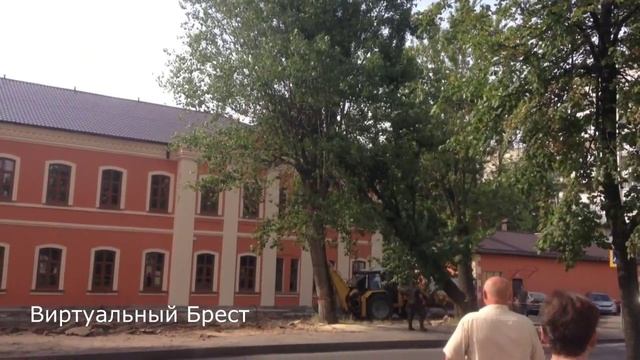 Как правильно спиливать тополя