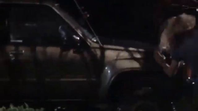 Insecticidal / Music video смотреть онлайн