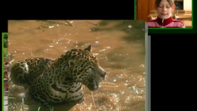 Проект ЖИЛА БЫЛА РЕКА смотреть онлайн