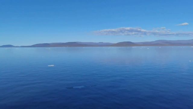 ЧУКОТКА смотреть онлайн