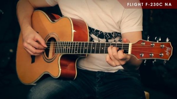 Акустическая гитара FLIGHT F 230