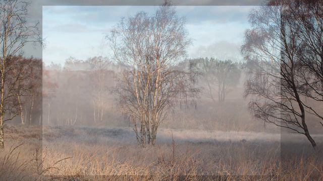 A Photographers dream - Landscape photography - fog and frost смотреть онлайн