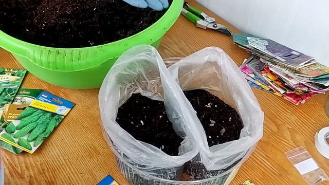 СЕЕМ СЕМЕНА ОГУРЦОВ НА РАННИЙ УРОЖАЙ | В ПАКЕТЫ смотреть онлайн